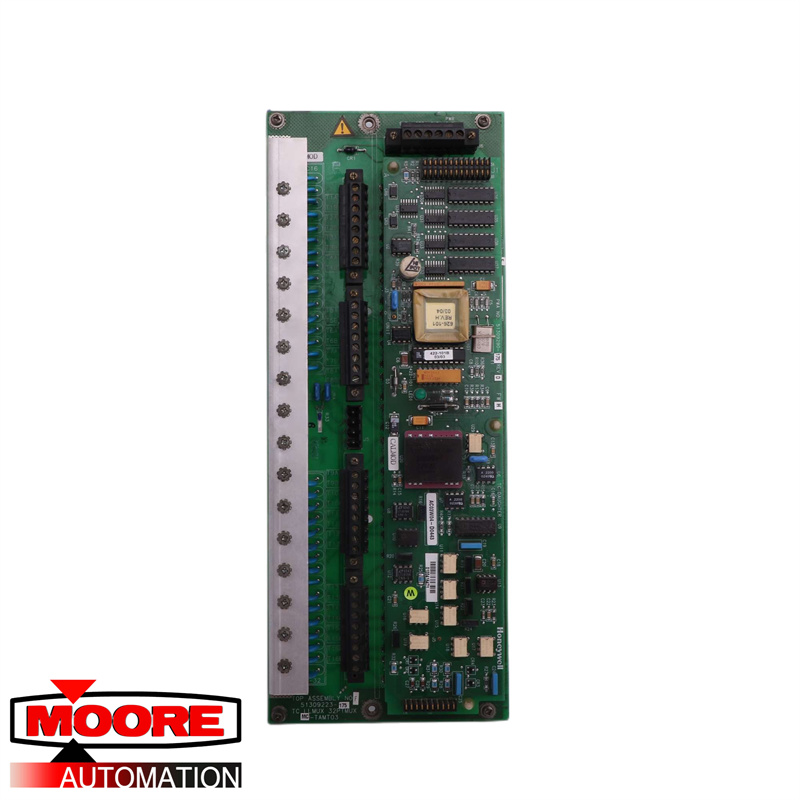 HOLLEYWELL | MC-TAMT03 51309223-175 | Termopar Multiplexador