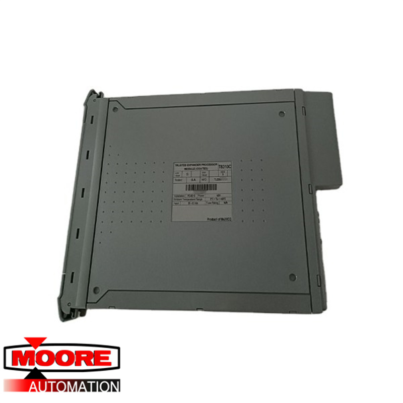 ICS TRIPLEX | T8310 | INTERFACE DO EXPANSOR