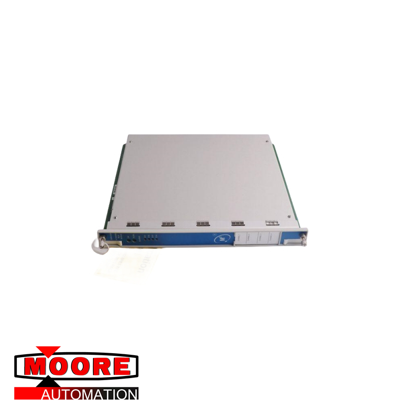 Monitor de temperatura Bently Nevada 3500/60, 190085-01L