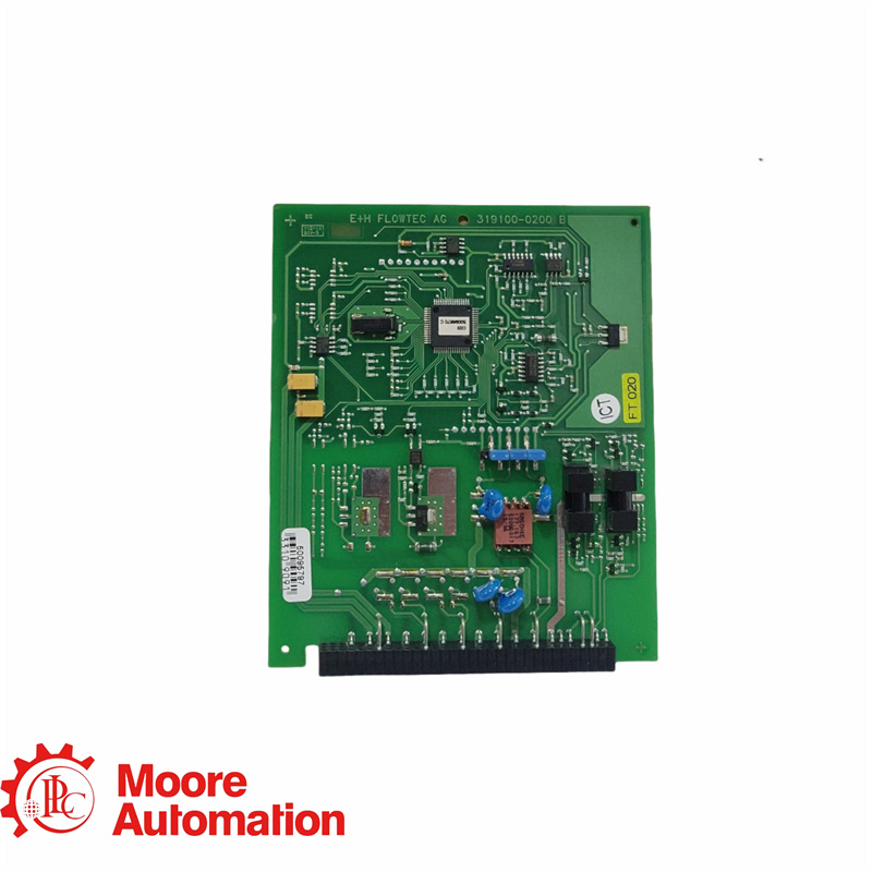 Placa PC E+H 319100-0200B