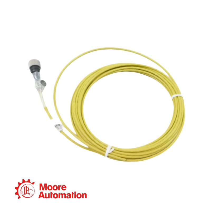 Cabo de interconexão Bently Nevada CB2W100-112