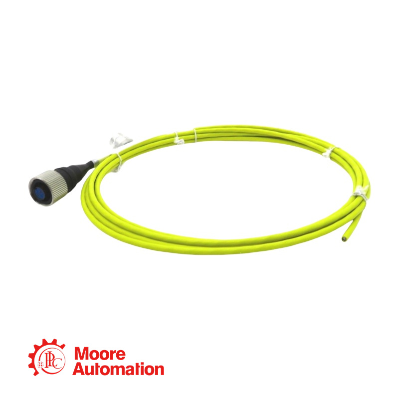 Cabo de interconexão Bently Nevada CB2W100-032