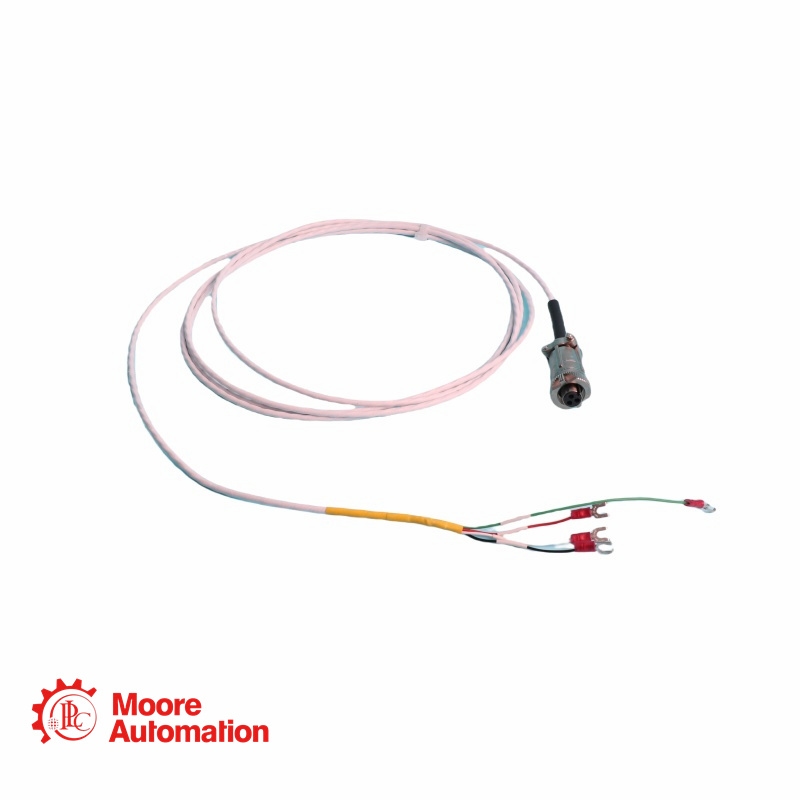 Cabo de interconexão padrão Bently Nevada 16925-17