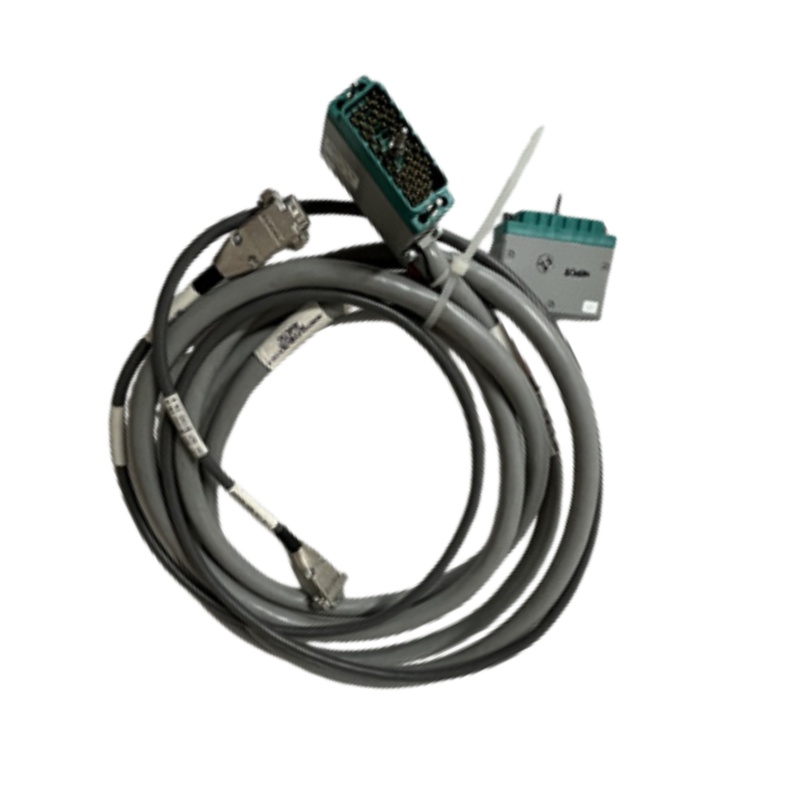 Foxboro 4000188-310 FT4 Cable